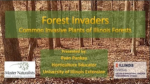Forest Invaders Webinar