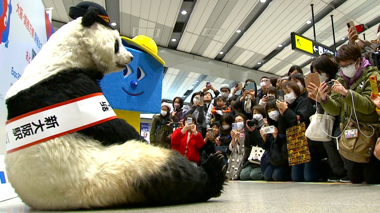 Adventure World's Panda Character 