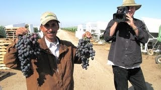 The Last Harvest: The Yemenis of the San Joaquin