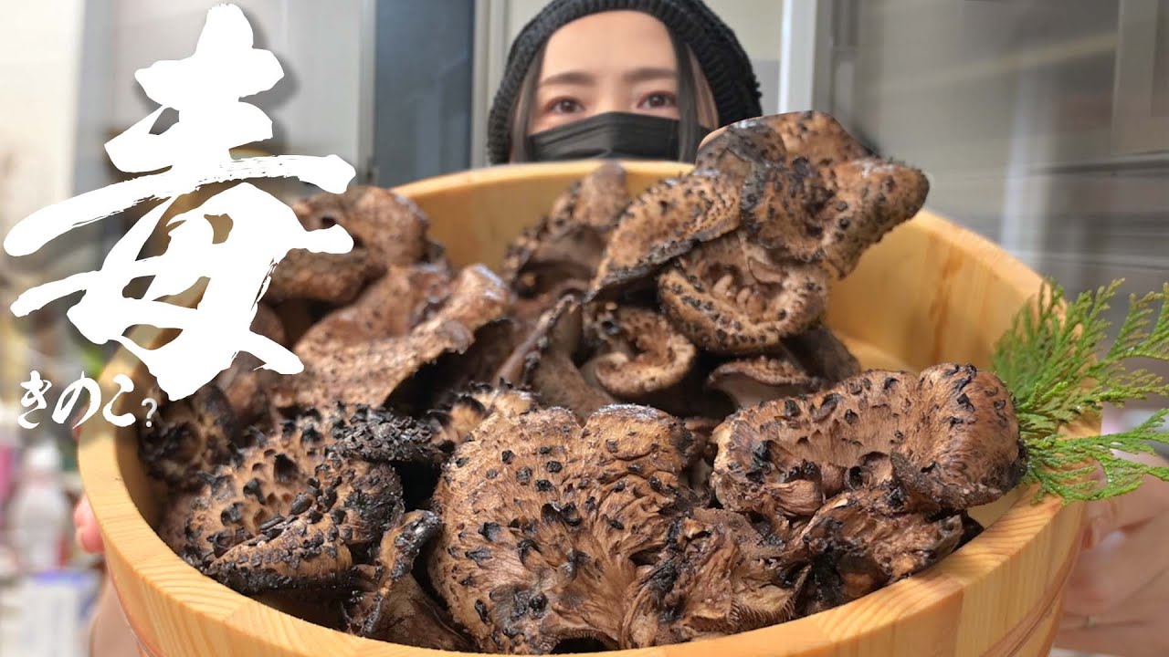 素人が手を出すとヤバイきのこを旦那に食べさせてみた【ばんのけ４周年記念】