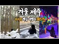 겨울 제주도 여행코스는 무조건 서귀포 남쪽이 답🍊(숙소+가볼만한곳 총정리)
