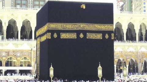 مشعل المطر سورة فصلت