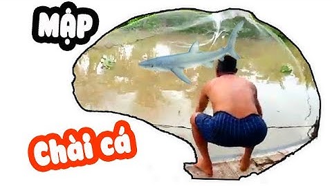 Bắt cá bằng chài kiếm CÁ MẬP CON trên sông Miền Tây | Fish catching videos 2020 #vuivlogs
