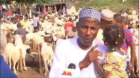 Economic Value of Rams and Its Significance During Sallah