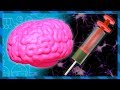 What does Heroin do to your brain and body? | Earth Lab