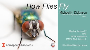 Michael H. Dickinson - H.S. Stillwell Lecture, Jan. 27, 2020