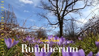 Rundherum Sulm-Auen | Naturpark Südsteiermark