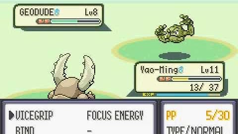 OMG Pokemon Emerald with Bugs Only (Part 5)
