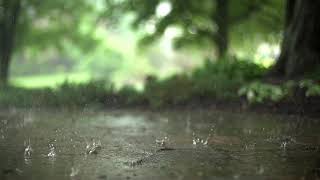 Raindrops 【ORIGINAL CHILL STEP】