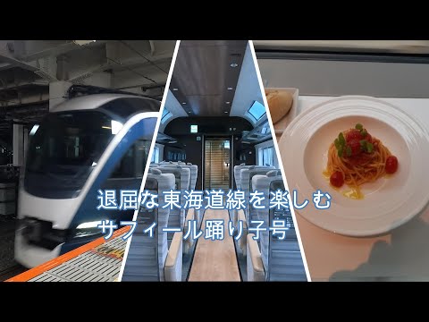 熱海までサフィール踊り子５号に乗車。新幹線に飽きた方におすすめ。