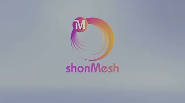 Defeaturing with shonMesh - Through-holes