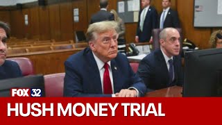 Political analyst weighs in on Trump's hush money trial