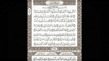 سورة الاعلى الغاشية الفجر البلد الشمس الليل الضحى الشرح التين
