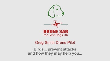 Drone SAR for Lost Dogs UK - Birds... prevent attacks and how they may help you...