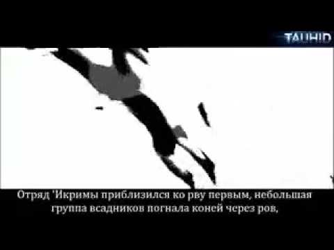 Рыцарь Пустыни (отрывок из книги)