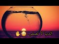 الدنيا لا تصفو لأحد مؤثر حالات واتساب دينيه الدنيا لا تصفو لأحد مؤثر حالات واتساب دينيه