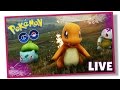 PGO: #Nandys - JOGANDO POKEMON GO! GAMEPLAY NO PC! - #1
