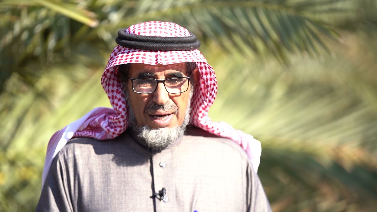 ‏بث مباشر.. فعاليات الدورة التطبيقية حول: تجهيز الأرض لزراعة محصول ‎#القمح ، مع م. راشد العصيمي.‎