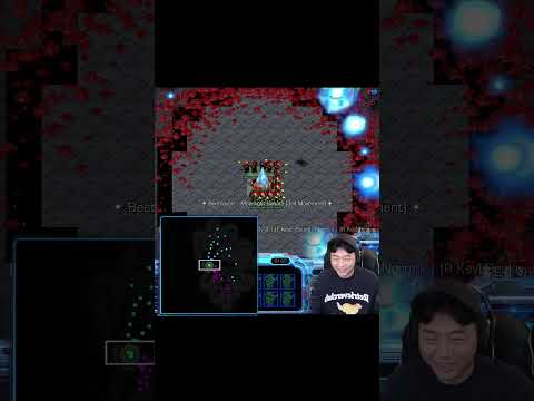 스타크래프트 유즈맵 근황 #shorts