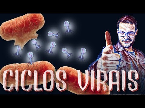 Vídeo: Diferença Entre Fago Virulento E Temperado