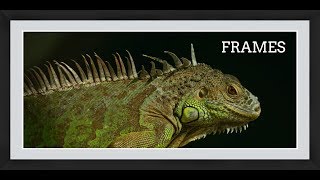 FRAMES 1