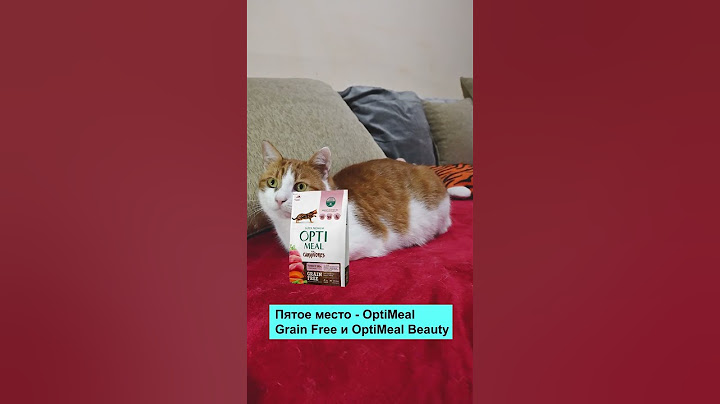 Лучшие сухие корма для котов Укр производителей #shorts #кошка #коты