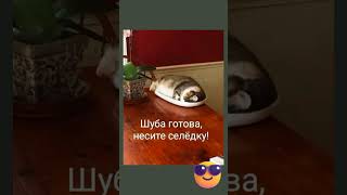 🔥 #тестнапсихику #смешныевидео #смехпродлеваетжизнь #топ #приколы
