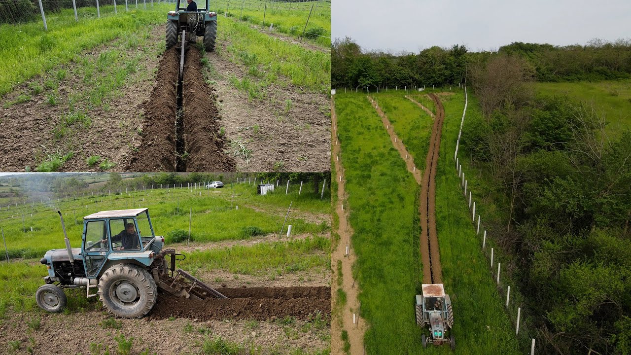 Postavljanje sistema za zalivanje Oraha 2. deo - KOPANJE ROVA