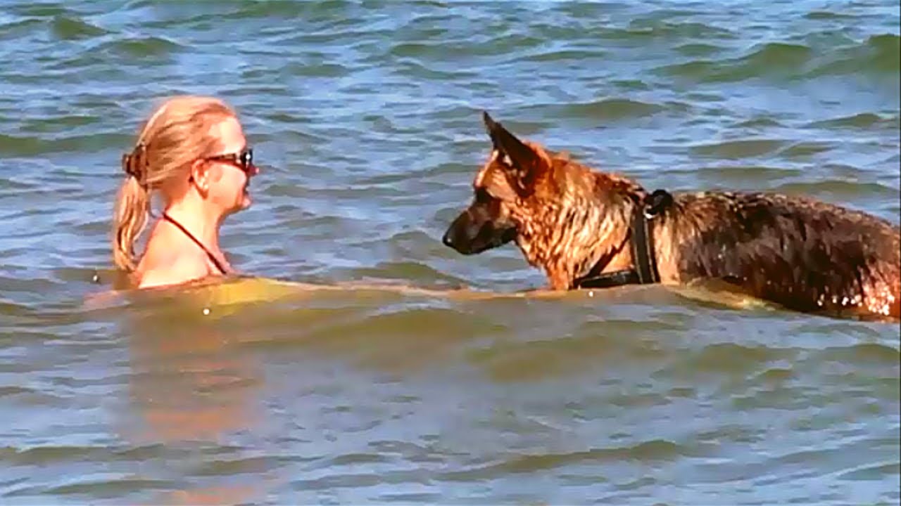 The only way to beat the heat wave