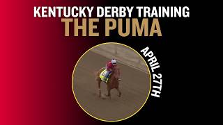 Kentucky Derby Gallop - THE PUMA on 4/27