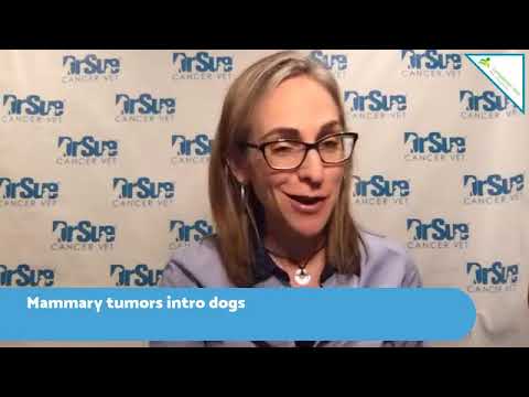 Video: Tumor-stromale Interaktioner: Stroma's Rolle I Mammary Udvikling