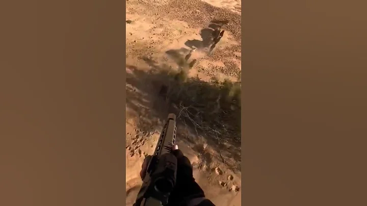 Part 1 --Take the hunt airborne—helicopter pig hunting with unmatched precision!#RotorRage #Sky