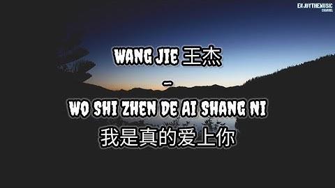 Wang Jie 王杰 - Wo Shi Zhen De Ai Shang Ni 我是真的爱上你 | Lirik | Terjemahan Indonesia