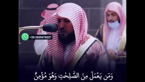 حالات واتس اب قرآن _ وكذلك أنزلناه قرآنا عربيا _ سورة طه الشيخ ماهر المعيقلي