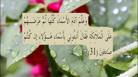 القران الكريم سورة البقرة الاية 31