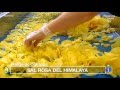 España Directo  Unas patatas con sal del Himalaya