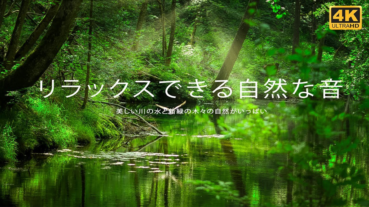 【ASMR自然音】川のせせらぎと鳥のさえずり Nature Sounds｜勉強・作業用BGM・睡眠用BGM｜川の音・鳥の声｜快眠・リラックス ...