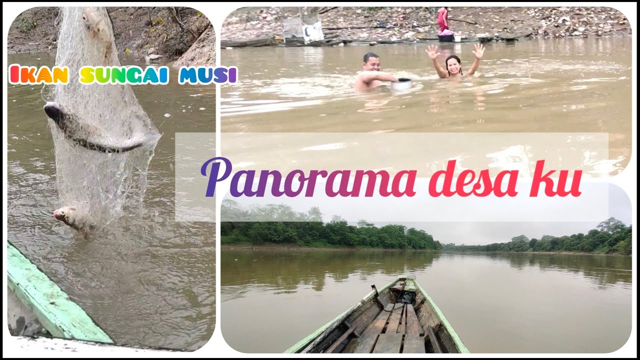 hasil yang memuaskan untuk hari ini