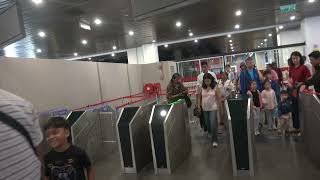 Download Lagu Lotus Malaysia Singapore April 2025 MP3