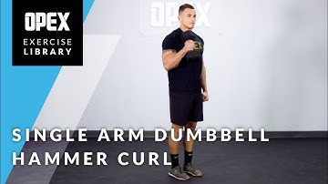 Single Arm Dumbbell Hammer Curl - OPEX Exercise Library