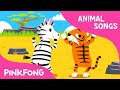Whose Tails? | Animal Songs | PINKFONG Songs for Children