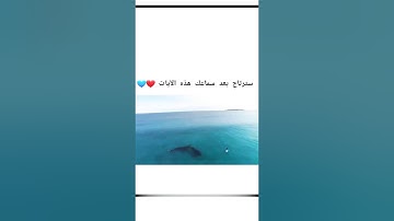 حالات واتس آب دينية /قرآن كريم ارح قلبك وسمعك /#حالات دينية /طمأنينة لقلبك ❤️