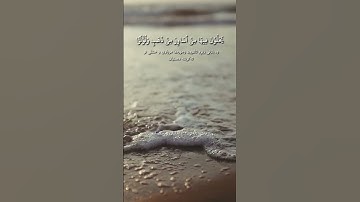 سورة فاطر – آية ٣٣ | تلاوة القارئ أحمد النفيس