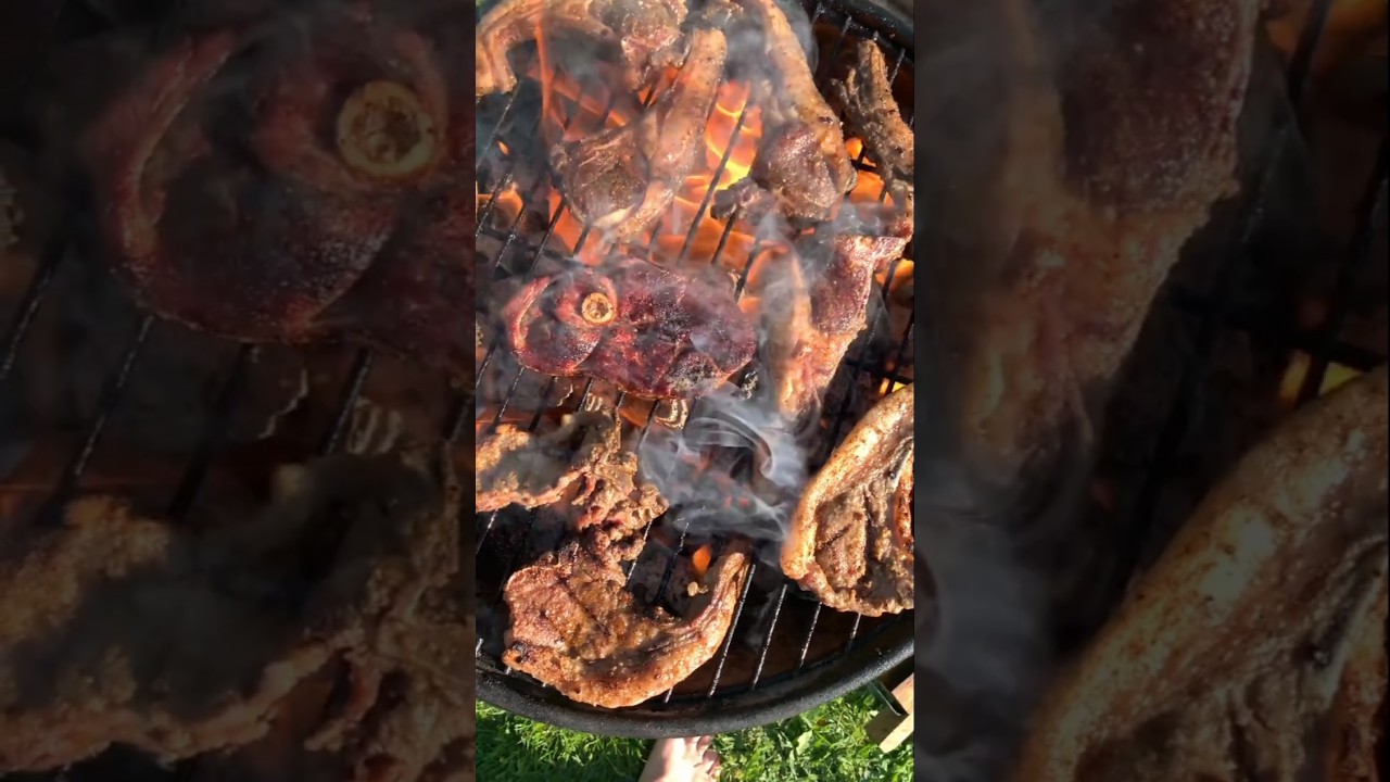 Cooking bbq Meat & Fish|