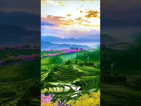 وجوب الصلاة الصلاة واجبه على كل مسلم الصلاة فرض الصلاة ركن الصلاة عمود الاسلام الصلاةاول مايحاسب