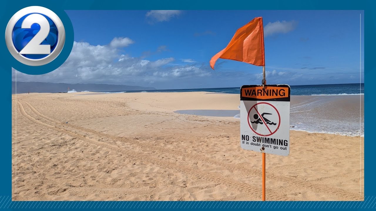 High surf warning in full effect, lifeguards rescue dozens on the
