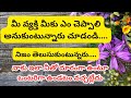 నాకు ఇలా నీతో దూరంగా ఉంటూ ఒంటరిగా ఉండటం నచ్చట్లేదు... Tarot reading in telugu||love||relatiinship