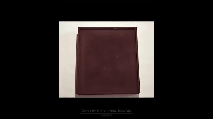 Centre for Environmental Mycology - Assembly of Mo...