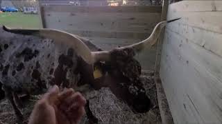 Bonding with our Longhorns