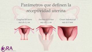 ¿Qué prueba se requiere para ver el grosor endometrial?